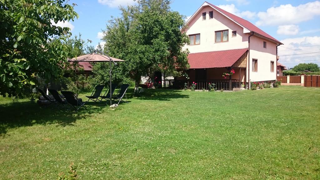 Pensiunea Balea Sat Cîrţişoara Exterior foto