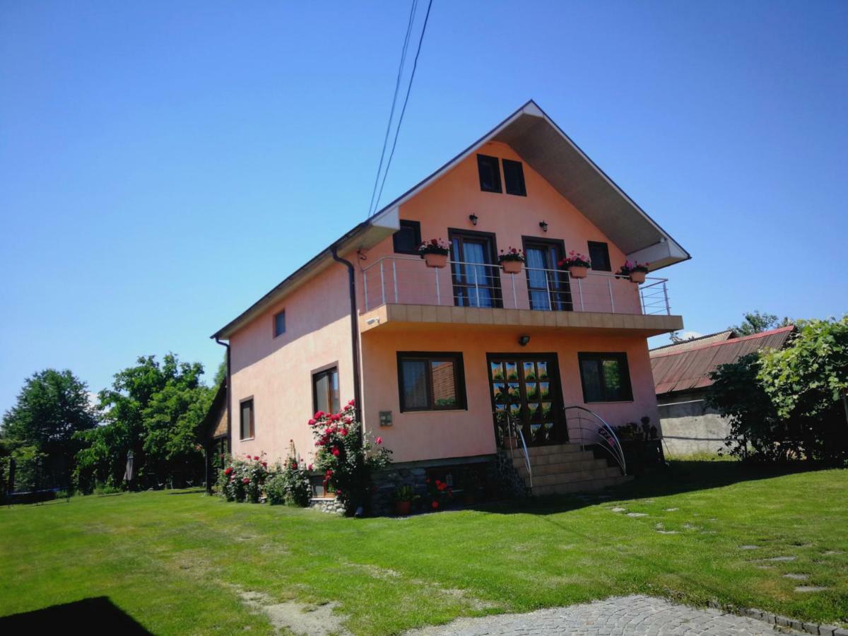 Pensiunea Balea Sat Cîrţişoara Exterior foto